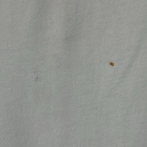 True Religion Women’s White V-Neck T-Shirt - Size S - Picture 2 of 7